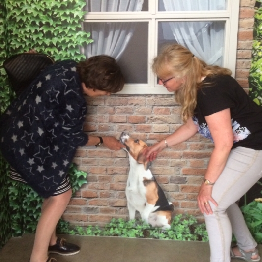 Hondje Fikkie op muurschildering