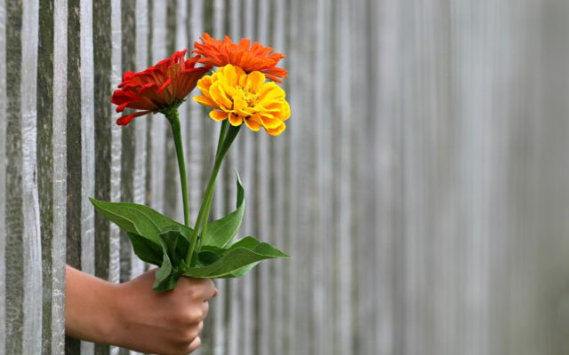 hand-1549399_1920